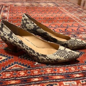 Snakeskin kitten-heel pump